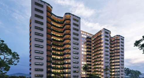 Domus